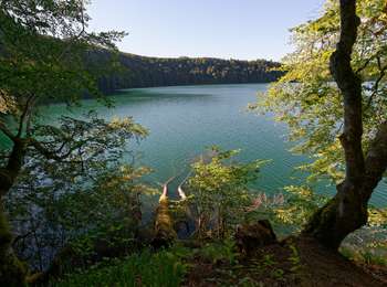 Percorso A piedi Besse-et-Saint-Anastaise - Le puy de Montchal et le Lac Pavin - Photo