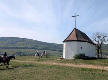 Randonnée Randonnée équestre Gueberschwihr - 2026-04-11 WE CVA Gueberschwihr Orschwihr - Photo