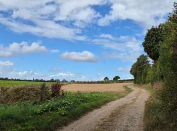 Percorso Marcia Bouvigny-Boyeffles - Bouvigny - Les bois de Mont - Photo