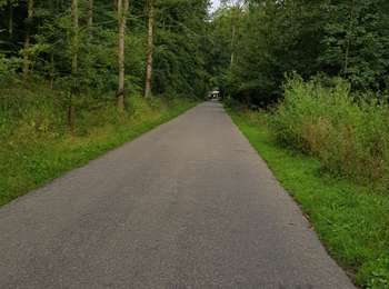 Randonnée Roller Valkenburg aan de Geul - Rcae RR 04 - Photo