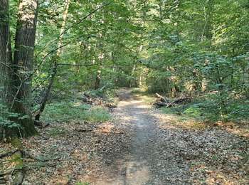 Percorso Marcia Saint-Sulpice-de-Pommeray - Saint-Sulpice-de-Pommeray - Photo