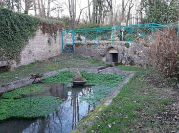 Trail Walking Menotey - Menotey 6.1 km 20230107 - Photo