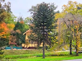 Tour Wandern Paris - GPS Drawing Chess in Paris 30 km - Photo