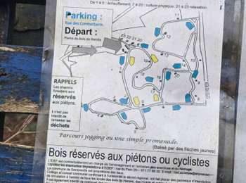 Trail Walking Sambreville - Auvelais Adeps - 10 km - Photo