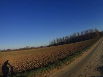 Tocht Mountainbike Perwijs - SityTrail - 2608640 - perwez-1 - Photo