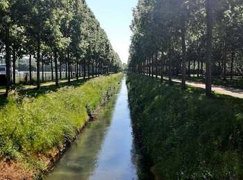 Tour Wandern Provins - PROVINS : de la Roseraie à la BRETONNIÈRE - Photo