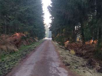 Tocht Stappen Baelen - Helle - Photo