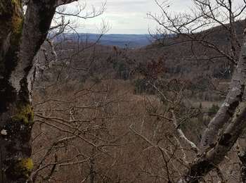 Trail Walking Les Crozets - Les crozets-Les ronchaux - Photo