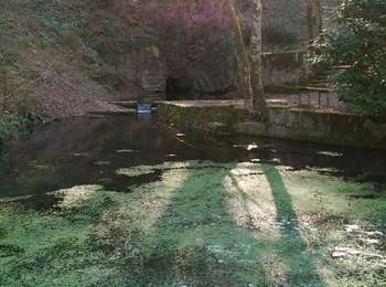 Trail Walking Sampans - m'ont Roland - Photo