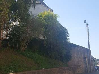 Excursión A pie Lontzen - Arboretum-Lehrpfad Lontzen - Photo