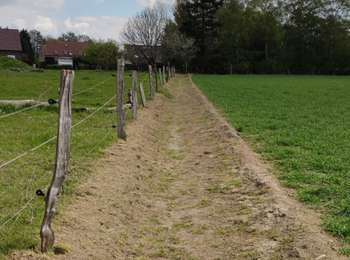 Trail Walking Juprelle - Villers Saint Siméon - Lantin - Liers - Villers Saint Siméon  - Photo