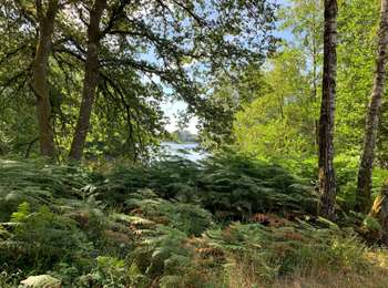 Trail Walking Écromagny - Plateau des milles étangs  - Photo