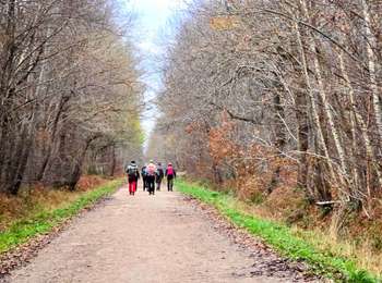 Tour Wandern Marolles-en-Brie - 30 KM De Marolles à la marne - Photo