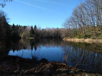 Trail Walking Esmoulières - 27-02-19 Beulotte la Guillaume - Photo