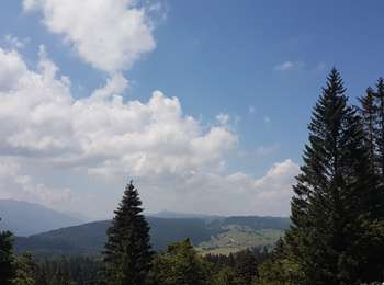 Trail Walking Lajoux - crêt de la vigoureuse - Photo