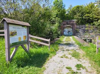Excursión Bici eléctrica Essert - VTT - Essert - Salbert - Vétrigne - Miotte - Citadelle Belfort - Essert - Photo
