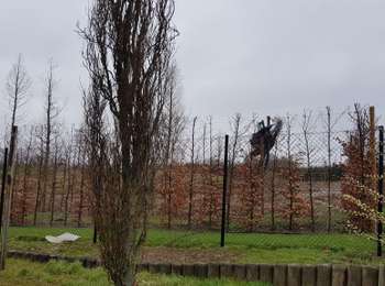 Trail Walking Liège - Rocourt >Ste Walburge > Rocourt  - Photo