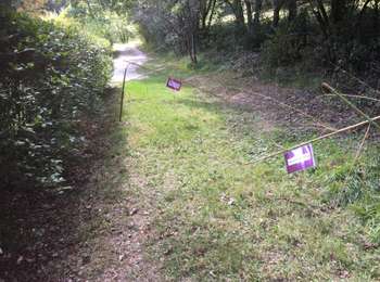 Tour Wandern Lauzerte - Laurzerte ses alentours  - Photo