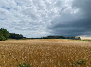 Tocht Stappen Tervuren - Le long du Voer - Photo