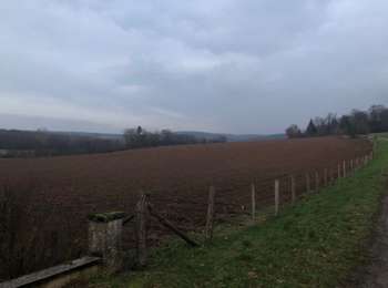 Trail Walking Mignavillers - La seigneurerie de grange ( petite boucle )  - Photo