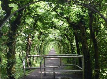 Trail Walking Theux - 20210621 - La Charmille 9.6 Km - Photo