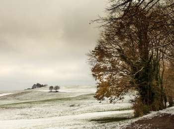 Percorso A piedi Saint-Martin-d'Uriage - Circuit des Crêtes - Photo