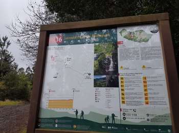 Tocht Stappen São Vicente - Levada da Faja do Rodrigues (Rother n°32) - Photo