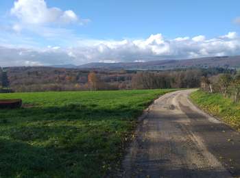 Trail Walking  - aissey  - Photo