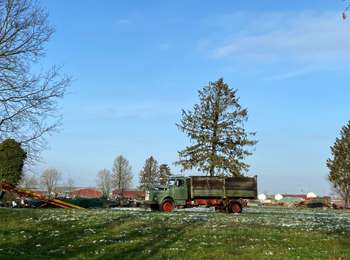 Trail Walking Brugelette - Brugelette Cambron (les 2) Lens Bauffe Brugelette  - Photo