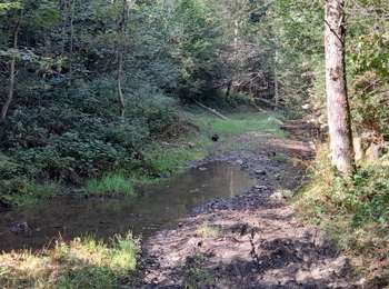 Trail Mountain bike Florennes - Flavion - Hastière en passant par la vallée de la Hermeton - Photo