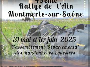 Trail Horseback riding Montmerle-sur-Saône - Boucle cavalier 31 mai 20255 - Photo