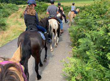 Trail Horseback riding Montsauche-les-Settons - Tracé cimetière militaire stèle  - Photo