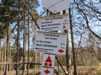 Trail Walking Trooz - 2022-02-03_17h57m35_BaladedeFraipont - Photo