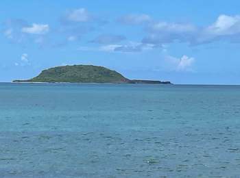 Trail On foot Sainte-Rose - Littoral de Sainte Rose - Photo