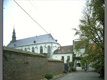 Percorso A piedi Borgloon - Mariënlof Rode pijl - Photo