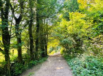 Tour Wandern Marche-en-Famenne - La réserve naturelle du Fond des Vaux à Marche-en-Famenne - Photo