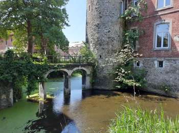 Trail Walking Engis - Hermalle - Photo