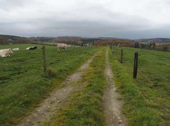 Trail Walking Marche-en-Famenne - RB-Lu-31_Marche-en-Famenne - Photo