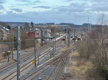Randonnée Marche Gouvy - Gouvy 23 km  - Photo