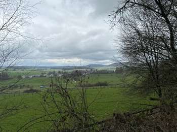 Excursión sport Habscht - Grillplaz - Photo