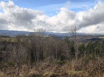 Percorso Marcia Saint-Marcellin-en-Forez - Boucle La Roche - Vérines - Photo