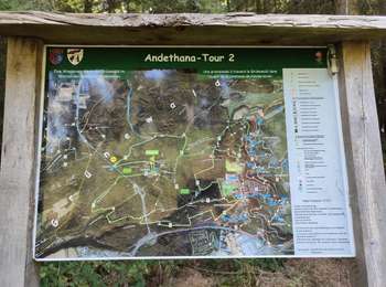 Percorso Marcia Steinsel - Ballade en forêt de Grünewald  - Photo