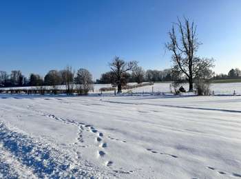 Trail Walking Hannut - Hannut R1 - Photo