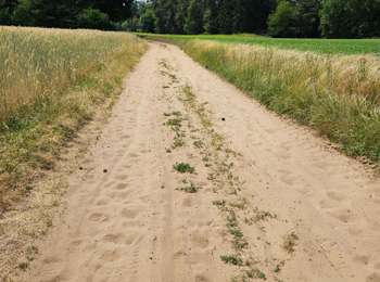 Percorso Marcia Beaufort - 2021-07-05_19h47m20_gpx-file - Photo