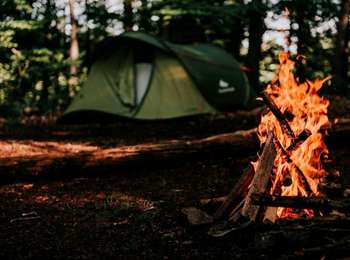 Trail Walking Sivry-Rance - Grande Traversée de la Forêt du Pays de Chimay (Big Crossing of the Chimay Forest) - Section 2: Sivry-Rance - Virelles - Photo