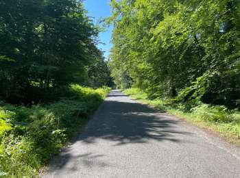 Tocht Stappen Rethondes - en Forêt de Laigue, 04_07_2025_sur les Routes du Grand Octogone, du Plessis-Brion, de Sainte-Croix, du Petit Octogone et de la Belle Assise - Photo