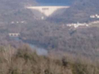 Trail Walking Cernon - Menouille Rupt Cernon  - Photo