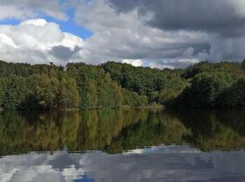 Trail Walking Saint-Bresson - 27-09-25 : St Bresson ( Fahys, pré d'Avril, étang d'épée, étang Breuchot)  - Photo
