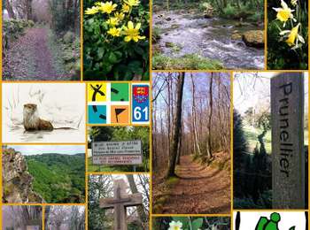 Excursión Geocaching Saint-Philbert-sur-Orne - Circuit des Roches - Photo