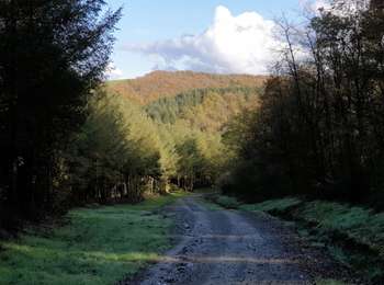 Trail Walking Doische - Balade de Soulme à Gochenée - Photo